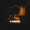 theshumukh, LXE - В тишине ‍