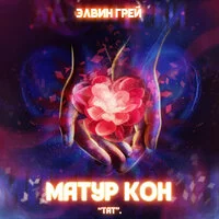 Элвин Грей - Матур кон (Тат)