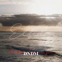 Hilola Samirazar, DNDM - Elfida