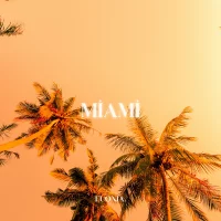 WHM, DeepX - Miami