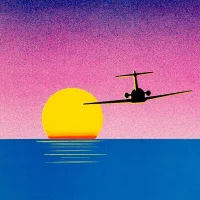 ViT - Love Fly