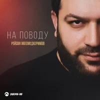 Рейсан Магомедкеримов - На поводу