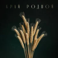 SHIR - Край родной